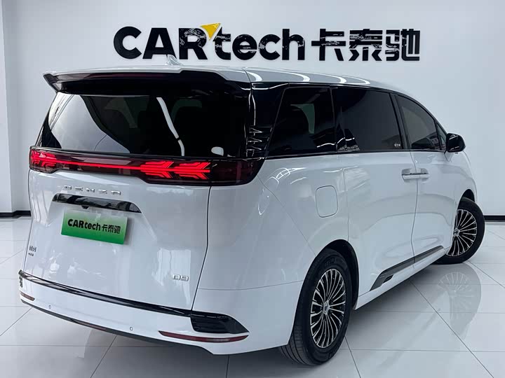 Фото 3 - Denza D9