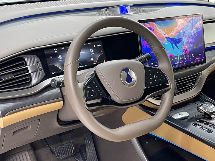 Фото 5 - Denza D9