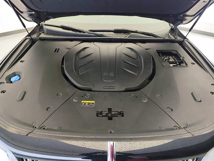 Фото 10 - Hongqi H9