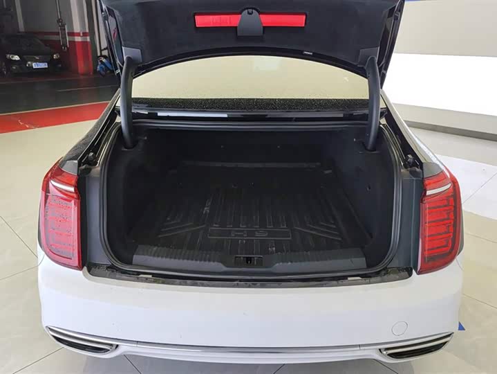 Фото 4 - Hongqi H9