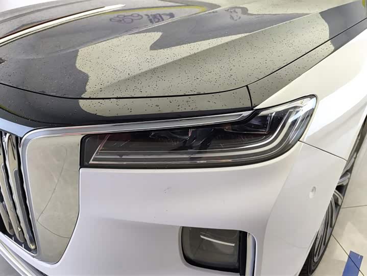 Фото 5 - Hongqi H9