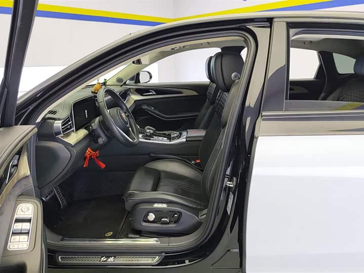 Фото 9 - Hongqi H9