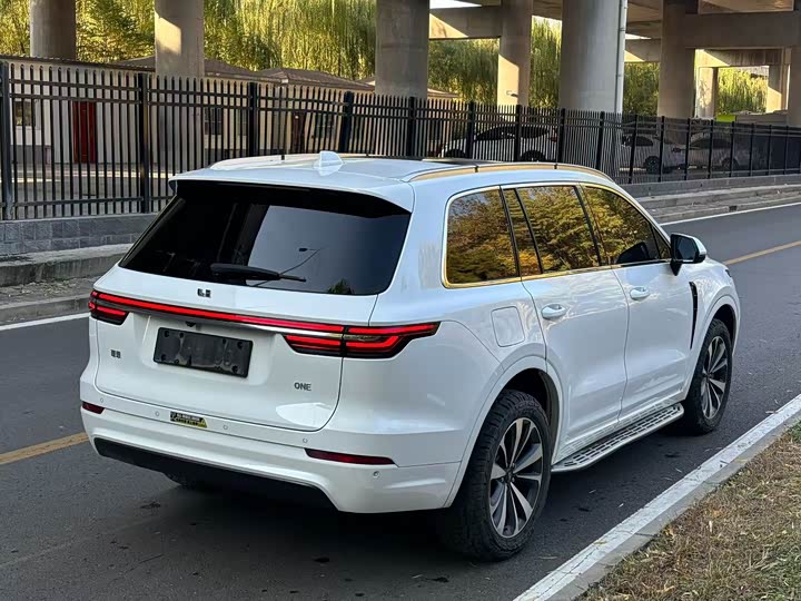 Фото 9 - LiXiang One