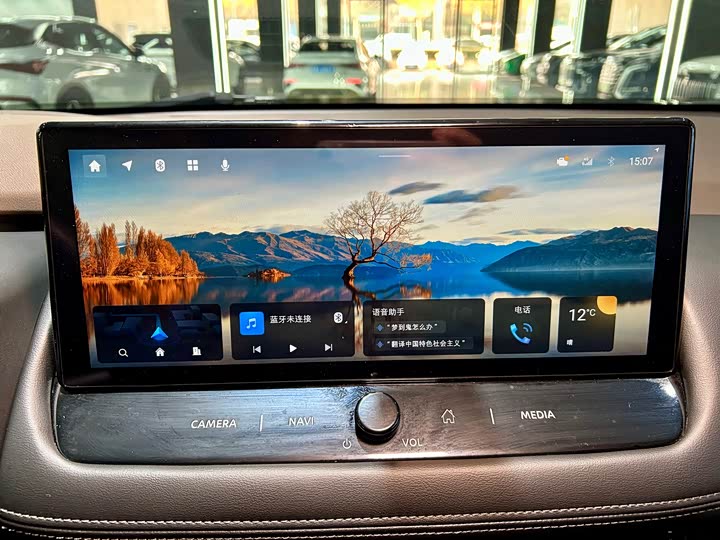 Фото 17 - Nissan X-Trail