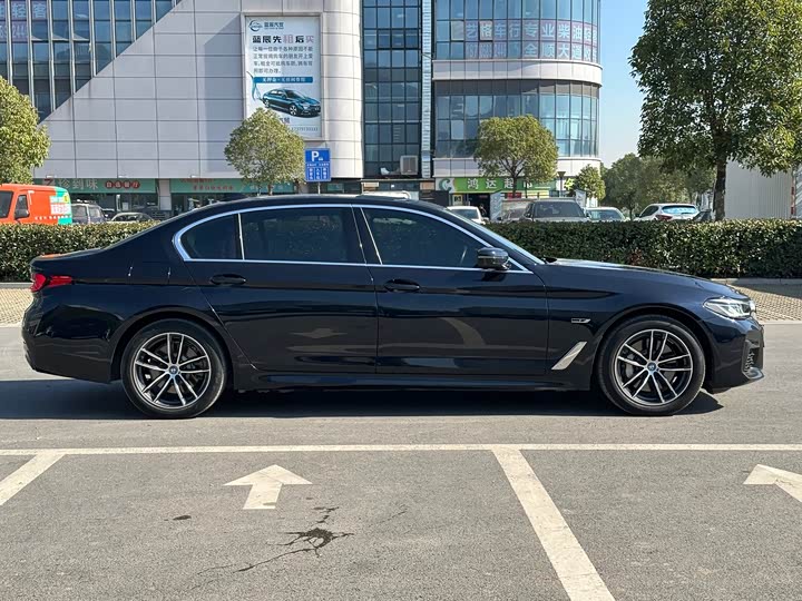 Фото 4 - BMW 5 Series Hybrid