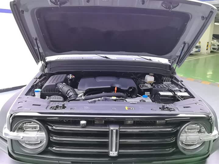 Фото 10 - Tank 300