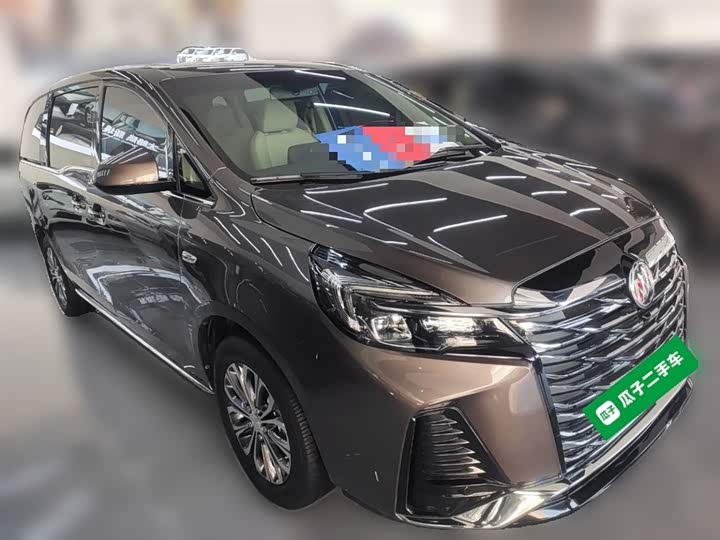 Фото 7 - Buick GL8 ES