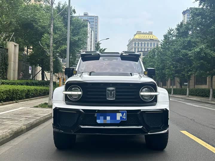 Фото 2 - Tank 300