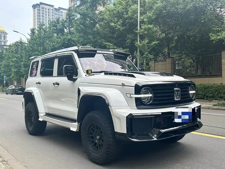 Фото 3 - Tank 300