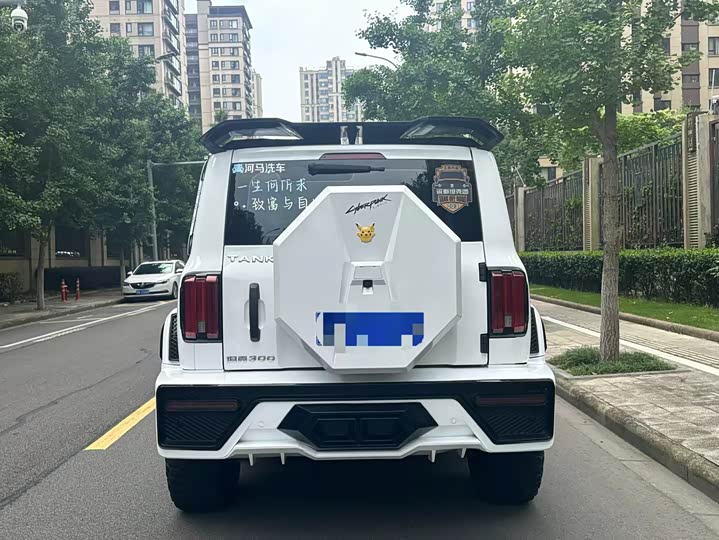 Фото 8 - Tank 300