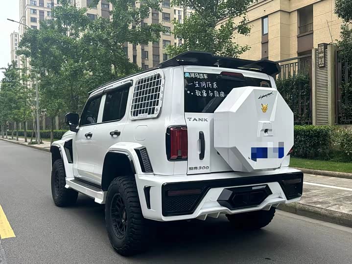 Фото 9 - Tank 300