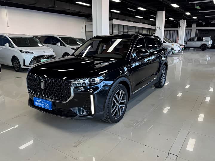 Фото 1 - Bestune T99