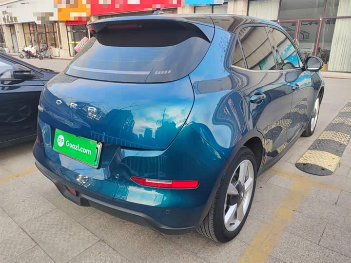 Фото 7 - Ora Good Cat (03)