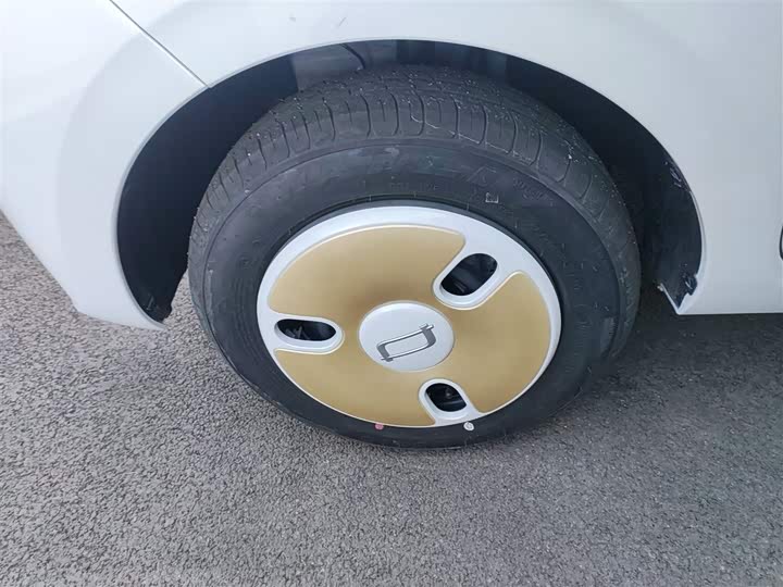 Фото 22 - Bestune Pony