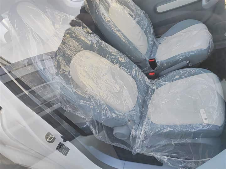 Фото 24 - Bestune Pony