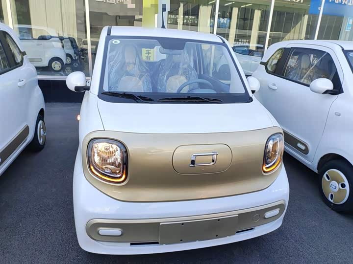 Фото 3 - Bestune Pony