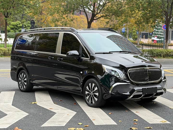 Фото 6 - Mercedes-Benz Vito