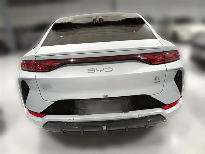 Фото 10 - BYD Song L