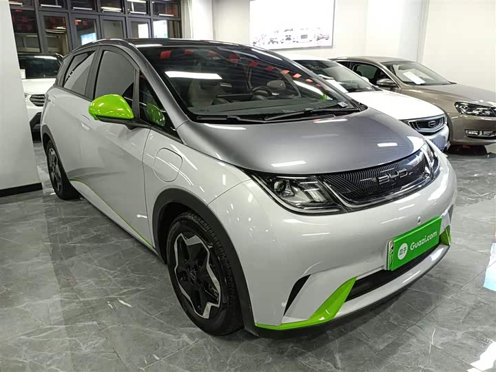 Фото 4 - BYD Dolphin