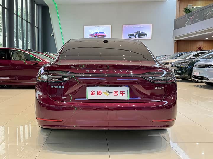 Фото 23 - Stelato S9