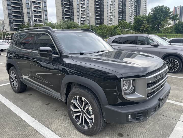 Фото 3 - Haval Dargo