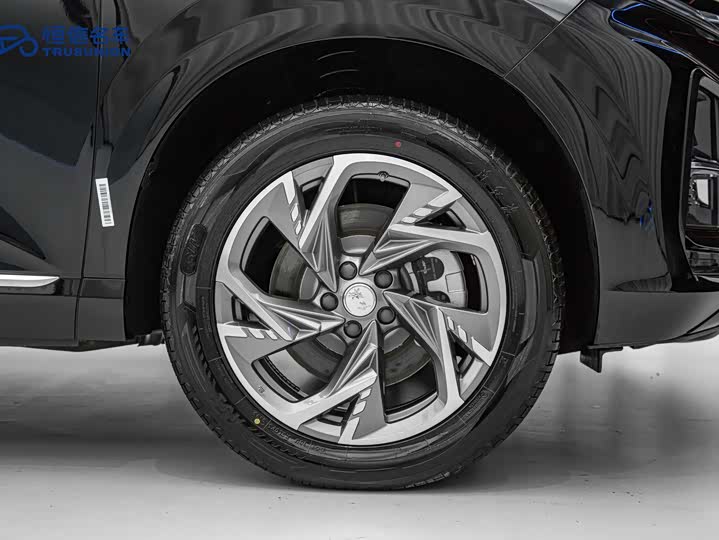 Фото 5 - Hongqi HS3 Hybrid