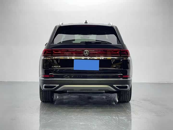 Фото 5 - Volkswagen Teramont Pro