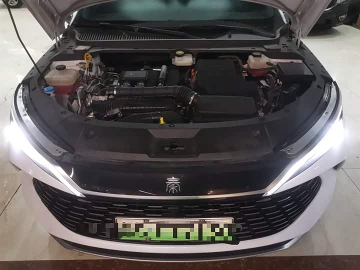 Фото 20 - BYD Qin L