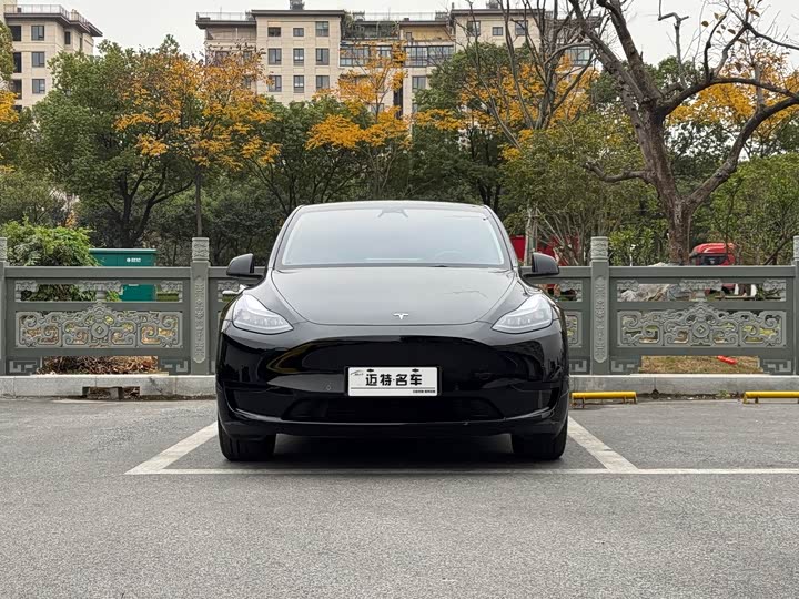 Фото 2 - Tesla Model Y