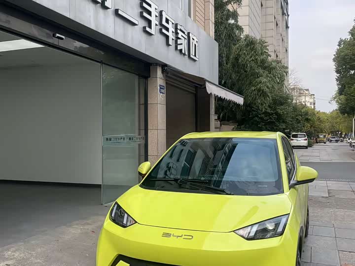 Фото 1 - BYD Seagull