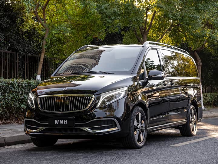 Фото 1 - Mercedes-Benz V-Class