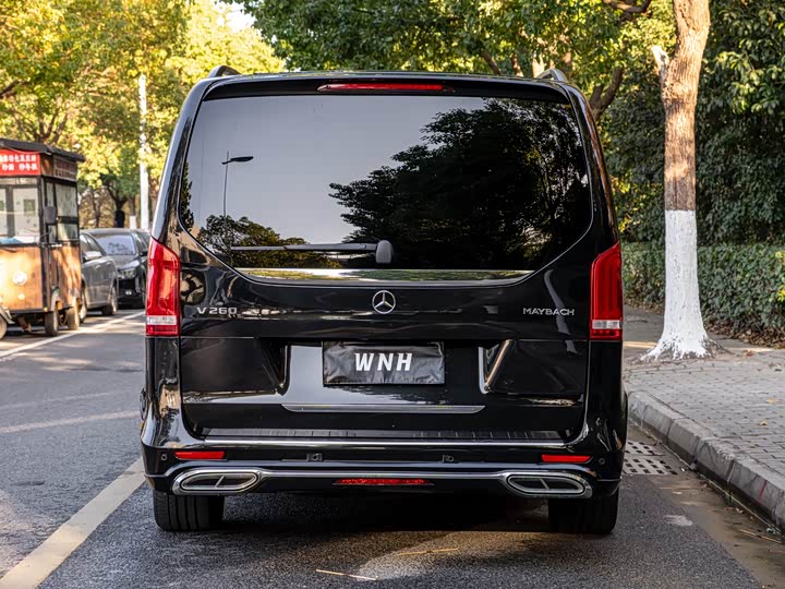 Фото 4 - Mercedes-Benz V-Class