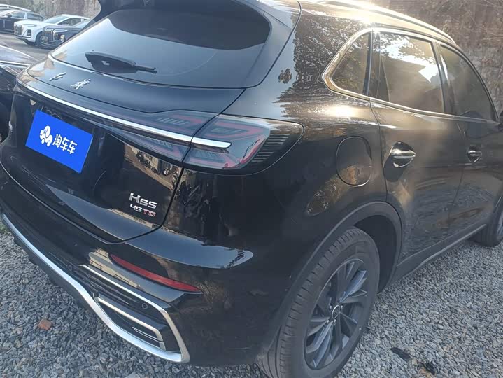 Фото 3 - Hongqi HS5