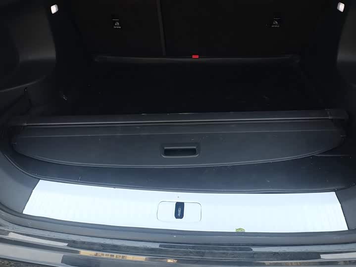 Фото 4 - Hongqi HS5