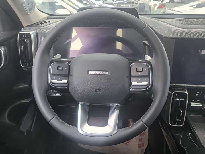 Фото 11 - Haval Dargo