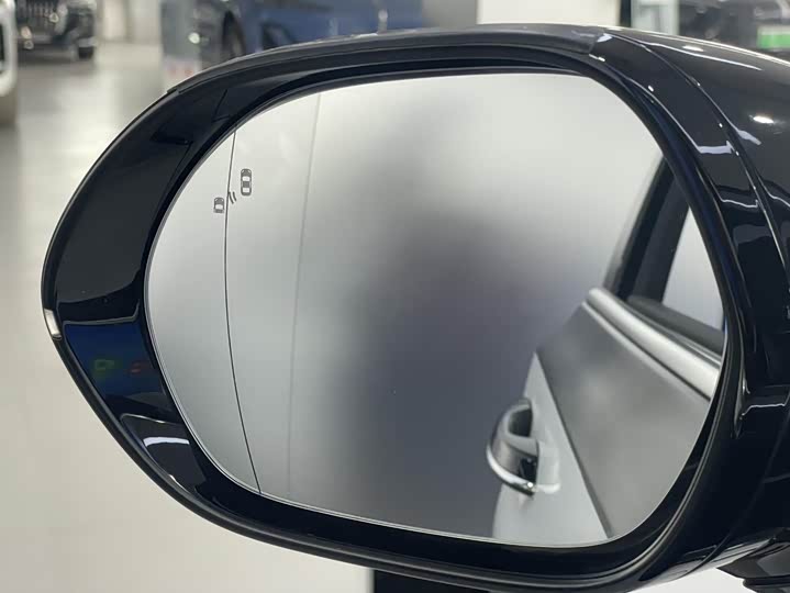 Фото 10 - Hongqi H5