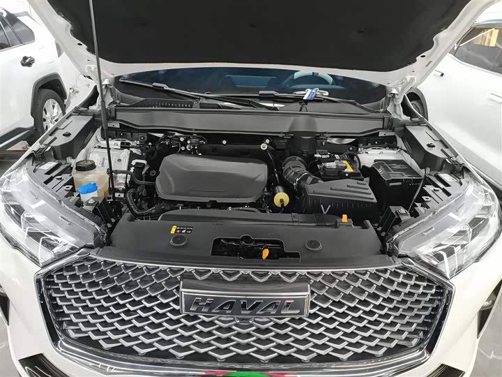 Фото 20 - Haval H6