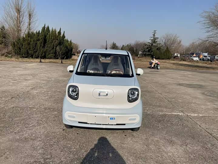 Фото 2 - Bestune Pony