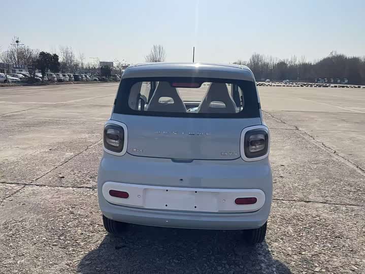 Фото 5 - Bestune Pony