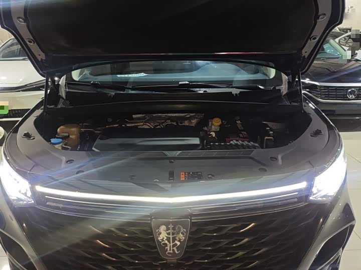 Фото 20 - Roewe iMax 8