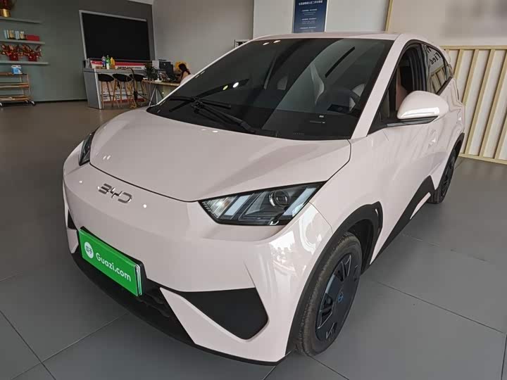 Фото 2 - BYD Seagull