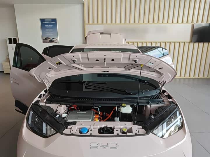 Фото 20 - BYD Seagull