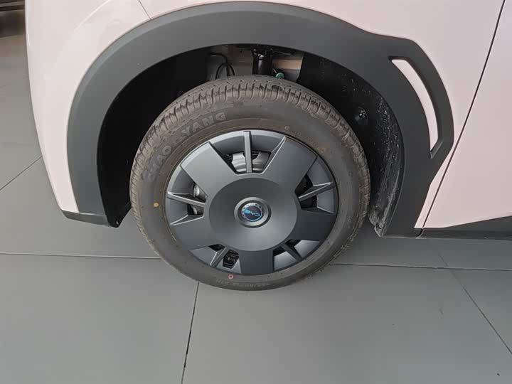 Фото 23 - BYD Seagull