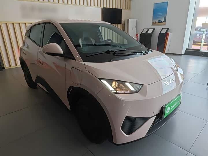 Фото 4 - BYD Seagull