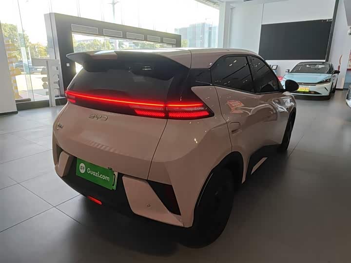 Фото 7 - BYD Seagull