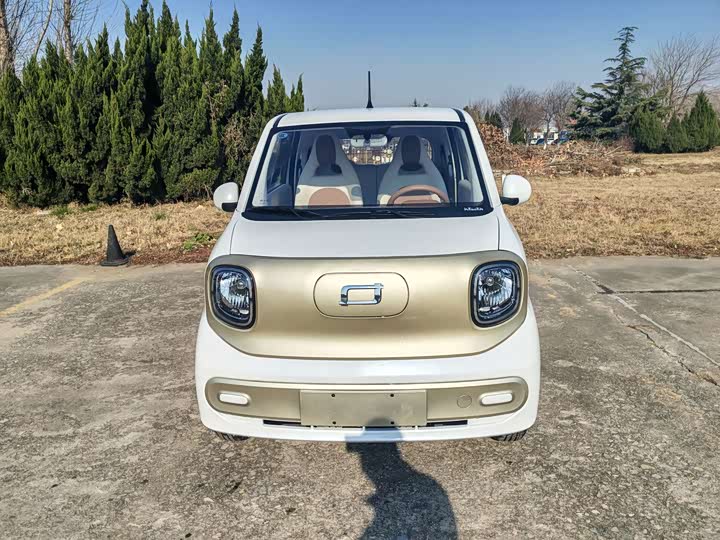 Фото 2 - Bestune Pony