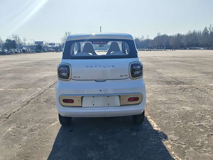 Фото 6 - Bestune Pony