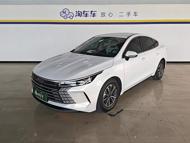 Фото 1 - BYD Destroyer 05