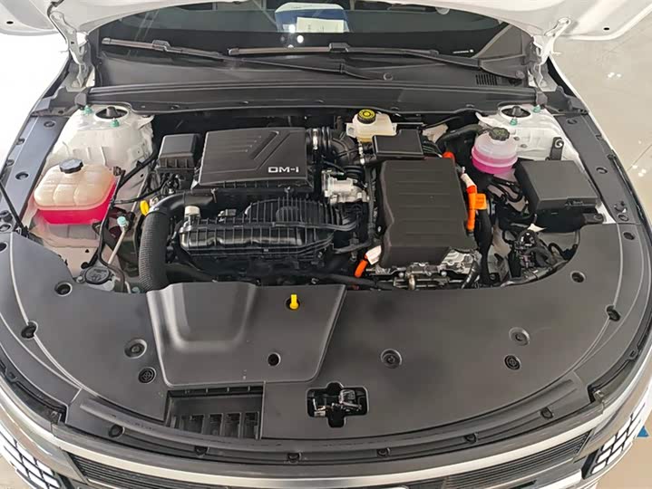 Фото 10 - BYD Destroyer 05