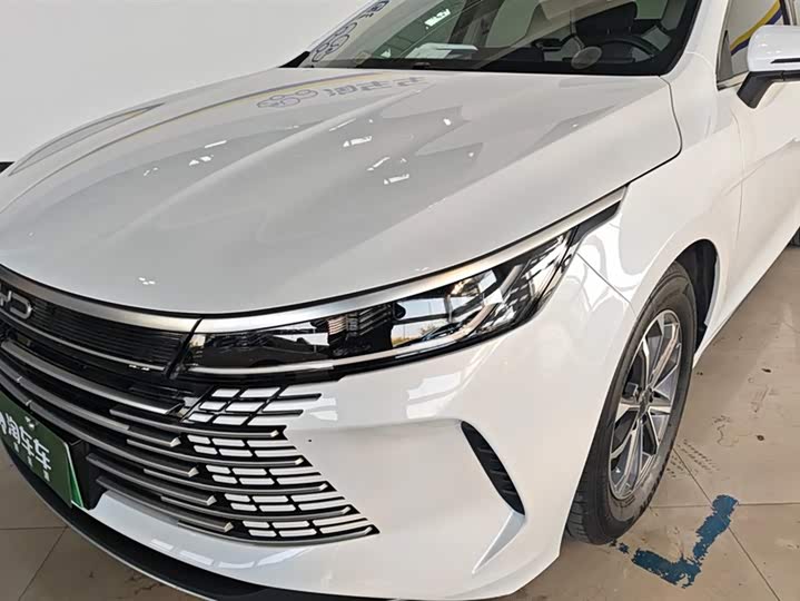 Фото 5 - BYD Destroyer 05